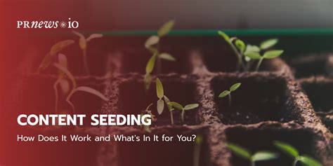 pr seeding platform in the philippines|Content Seeding 101: How Does It Work .